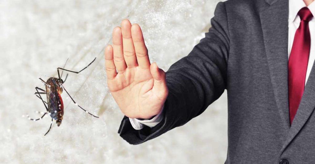 Kako se Riješiti Komaraca: 14 Učinkovitih Savjeta za Dom i Vrt Kako Se Rijesiti Komaraca